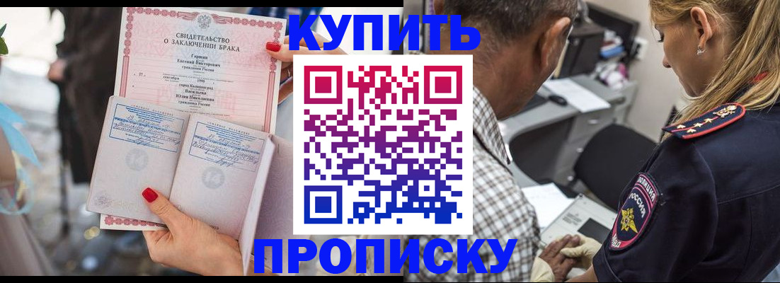 прописка законно в Барыше